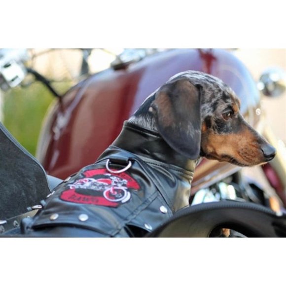 Custom Dog Motorcycle Jacket - Picture 4 of 8